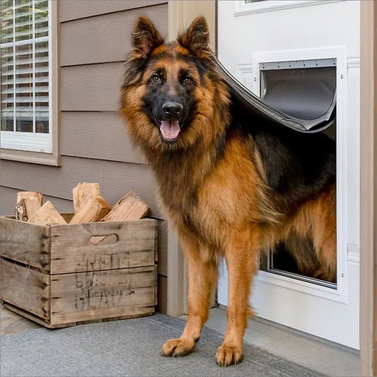 Extreme Weather Aluminum Pet Door™, Medium