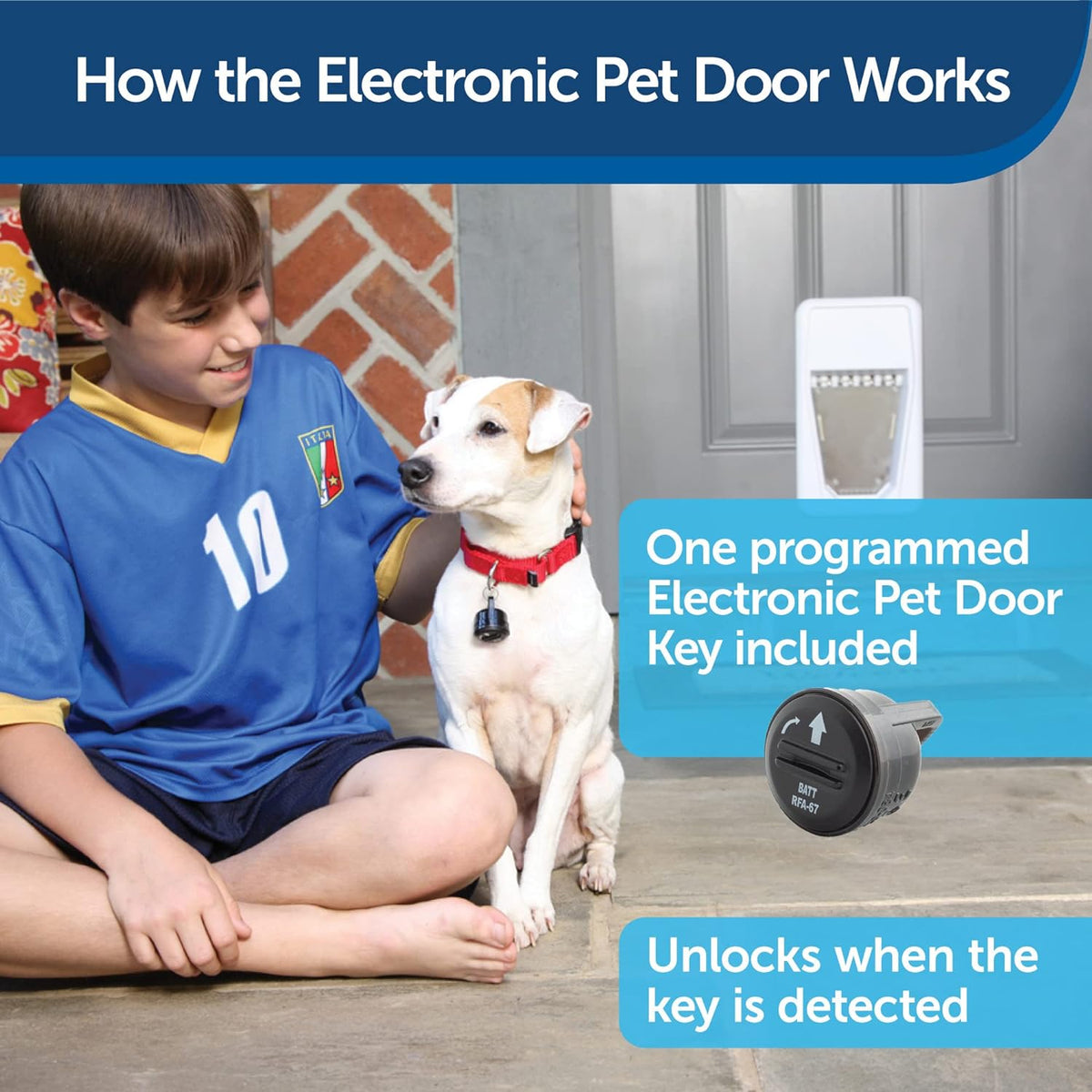 PetSafe Electronic SmartDoor, Automatic Dog and Cat Door, Large, Collar Activated with SmartKey