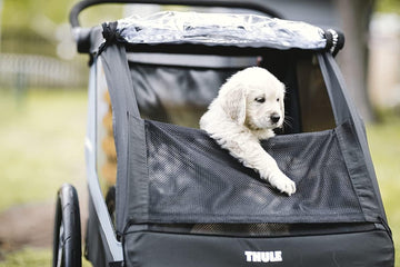 Thule Courier Dog Trailer Kit