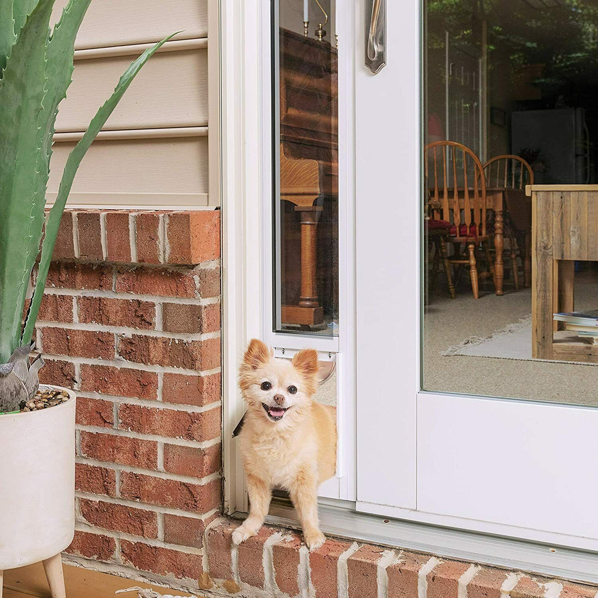 PetSafe 2-Piece Sliding Glass Pet Door, Great for Apartments or Rentals