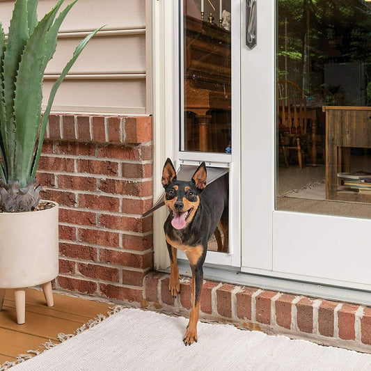 PetSafe 2-Piece Sliding Glass Pet Door, Great for Apartments or Rentals