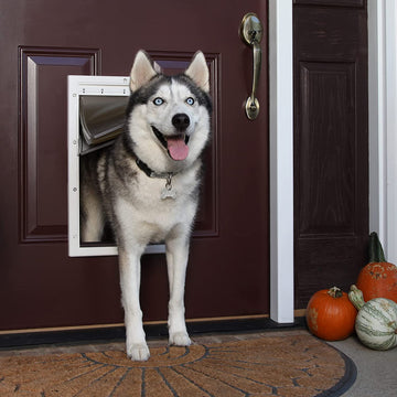 PetSafe Extreme Weather Energy Efficient Pet Door, Unique Three Flap System, White, for Large Dogs Up to 45 kg